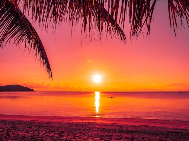 Stunning Sunrise at a Tropical Beach with Coconut Palm Trees – Free Download