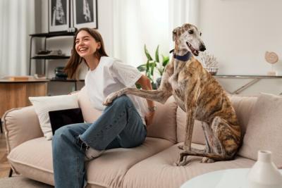 Smiling Woman with Dog – Free Stock Photo, Download for Free