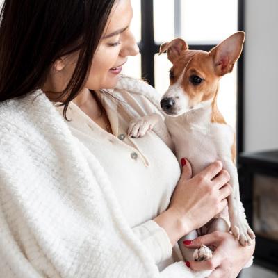 Woman Holding Dog – Free Stock Photo for Download