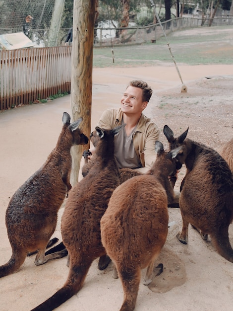 Playing with a Kangaroo in the Reserve – Free Stock Photo Download