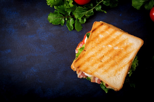 Big Club Sandwich with Ham, Bacon, Tomato, Cucumber, Cheese, Eggs, and Herbs – Free Download