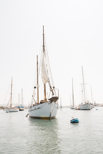 Scenic Vertical Shot of a Sailboat in Newport Harbor, California – Free Download