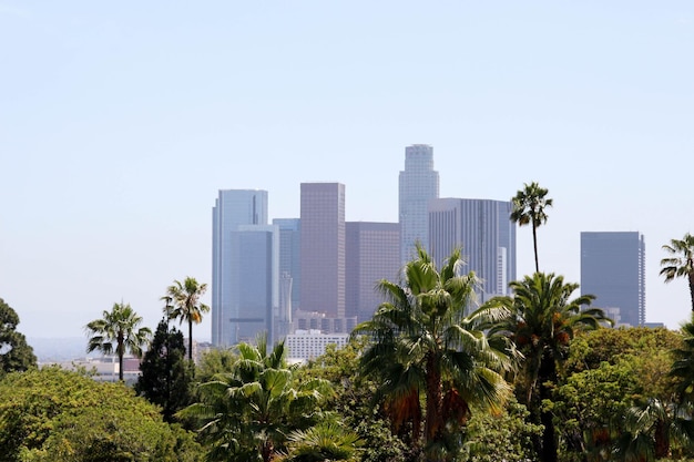 Downtown Los Angeles Skyline Surrounded by Palm Trees – Free Download