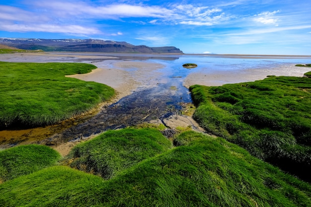 Grassy Field by the Seashore with Distant Mountains – Free Download