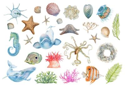 Underwater Marine Animals: Octopuses, Seahorses, Starfish, Jellyfish, and Seashells – Free Download