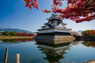 A building with a pink tree reflection in water – Free Download