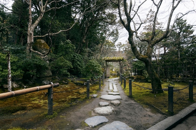 Serene Japanese Garden – Download Free Stock Photo