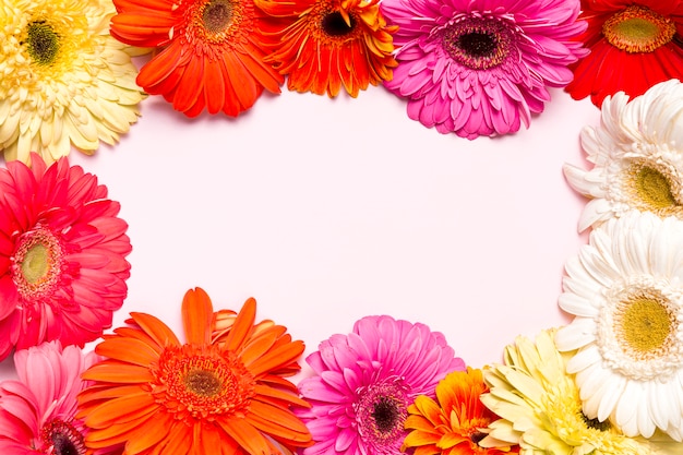 Stunning Floral Images – Free Download