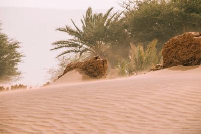 Desert Landscape in Morocco – Free Stock Photo for Download