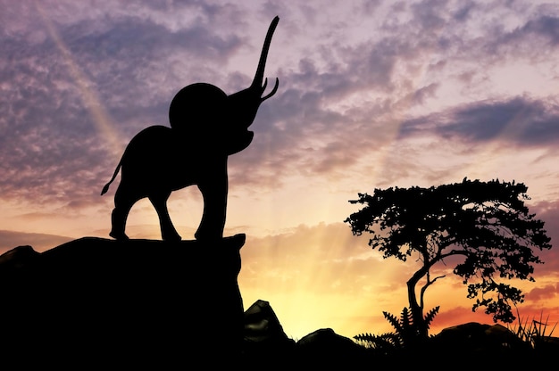 Elephant Silhouette on Sunset Savanna Hill – Free Download