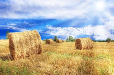 Straw Rolls – Download Free Stock Photos