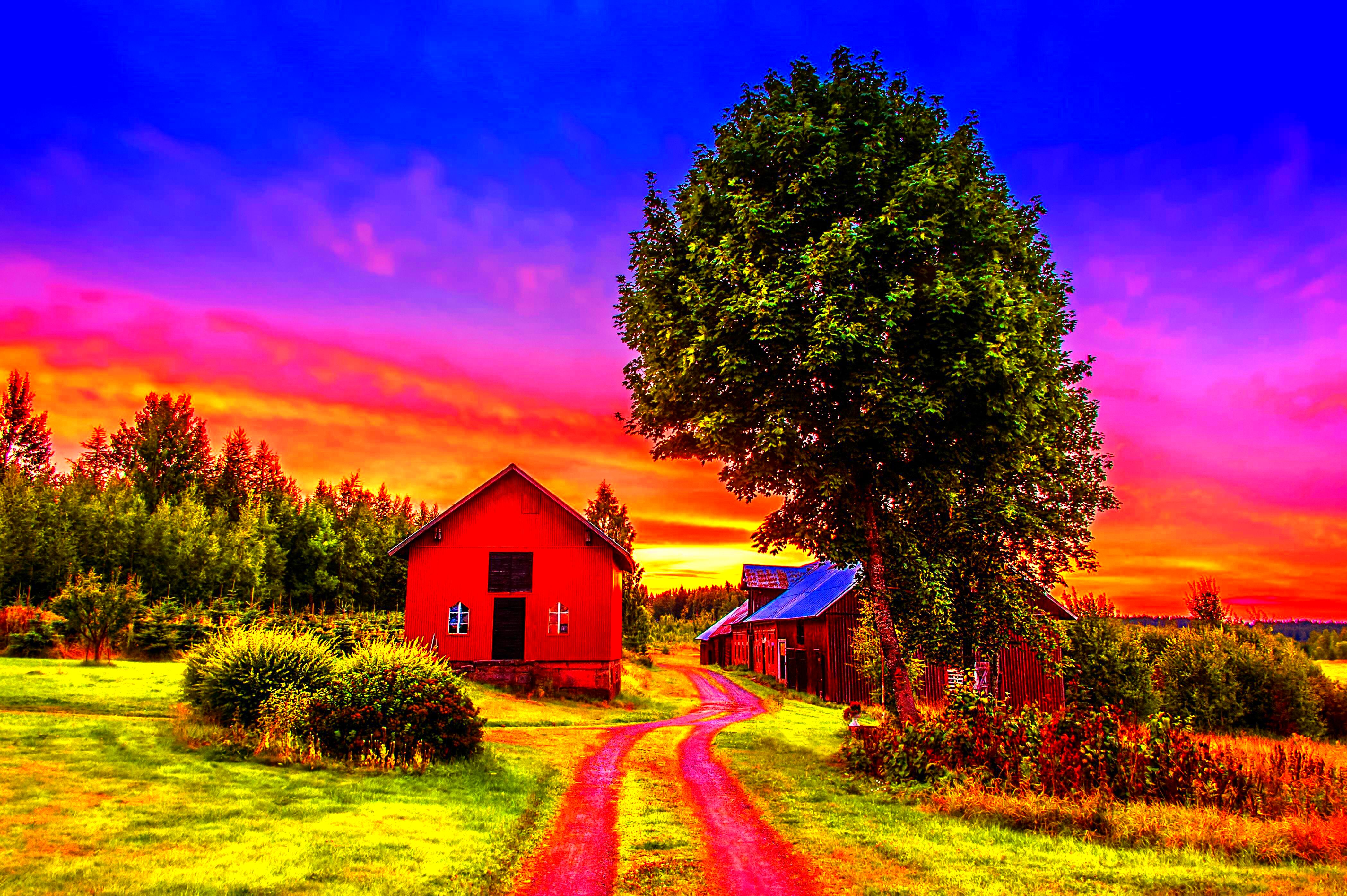 Sunset trees road home landscape rustic farm house wallpaper 