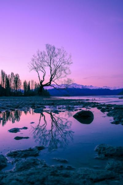 Scenic View of Lake at Sunset with Romantic Sky – Free Stock Photo Download