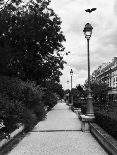 Street Lights on Footpath in a Paris Park – Free Download