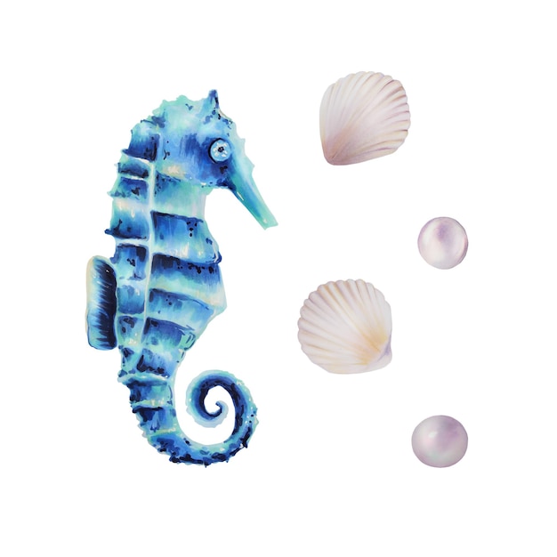 Watercolor Sea Horse and Shell Clipart – Hand-Painted Underwater Life Objects | Free Download