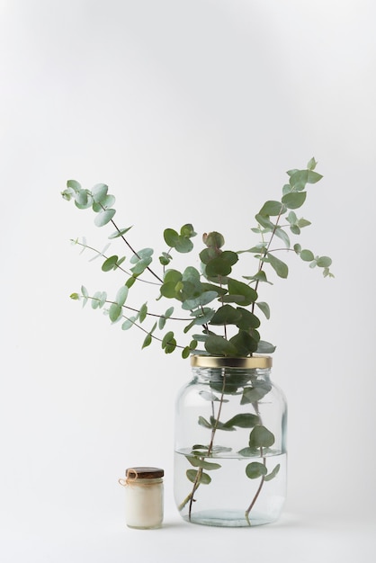 Green Leaves in a Jar – Free Stock Photo for Easy Download