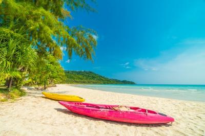 Beautiful Tropical Beach and Coconut Palm Tree on Paradise Island – Free Download