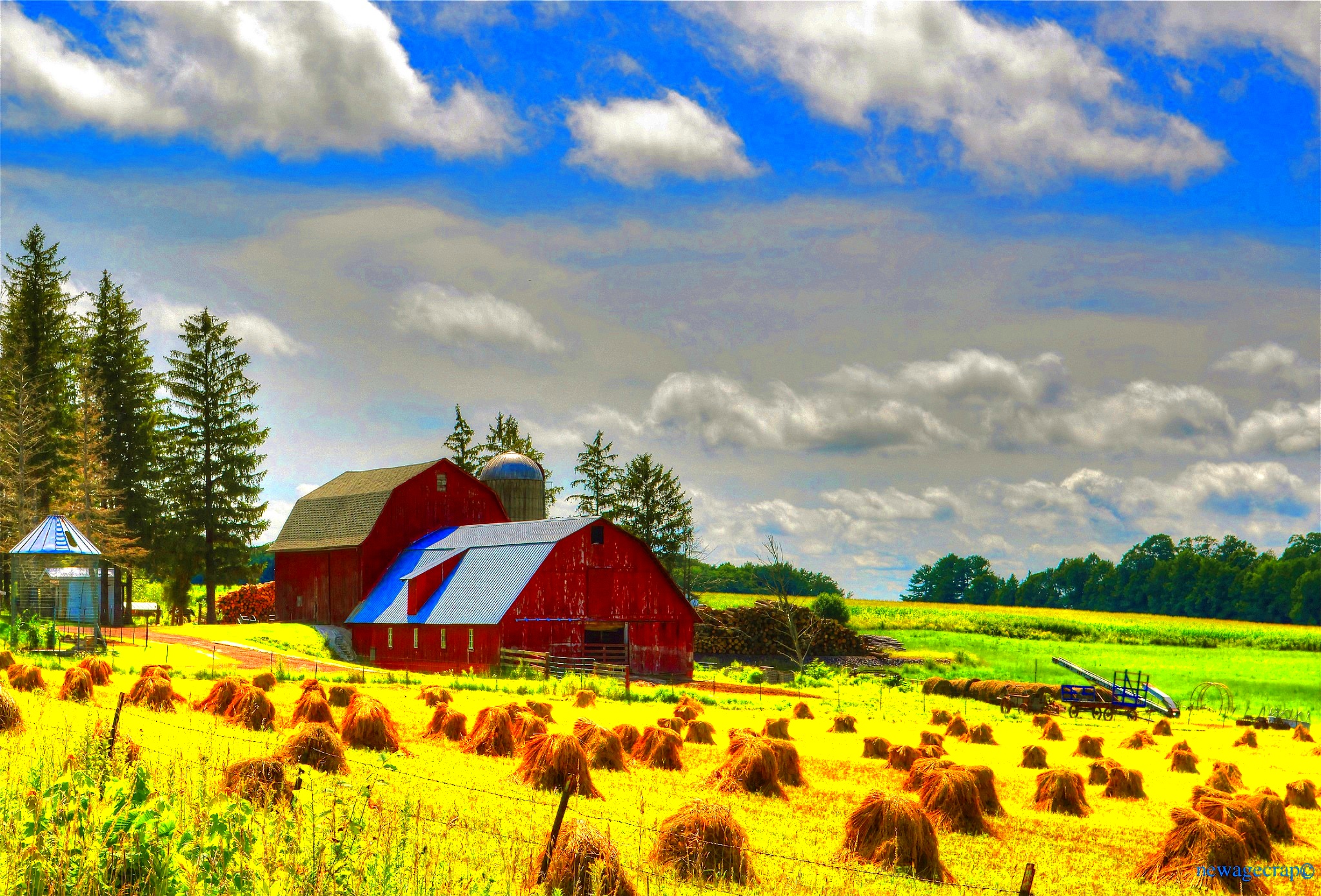 These 11 Farms In Wisconsin Bring Out The Country In You