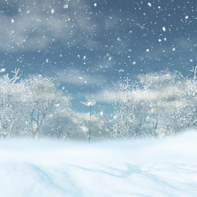 Christmas Snowy Landscape – Download Free Stock Photo