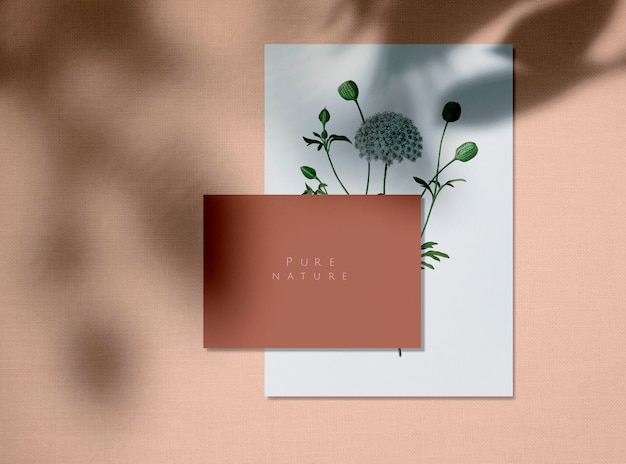 Pure Nature Design Card Mockups – Free Download