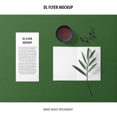 DL Flyer Mockup for Stunning Promotional Designs – Free Download