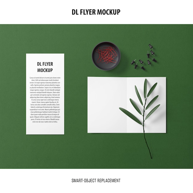 Dl Flyer Mockup for Stunning Presentations – Free Download