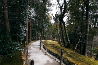 Tranquil Japanese Garden – Free Stock Photo Download