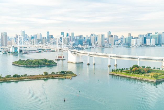 Stunning Tokyo Skyline Featuring Tokyo Tower and Rainbow Bridge – Free Download