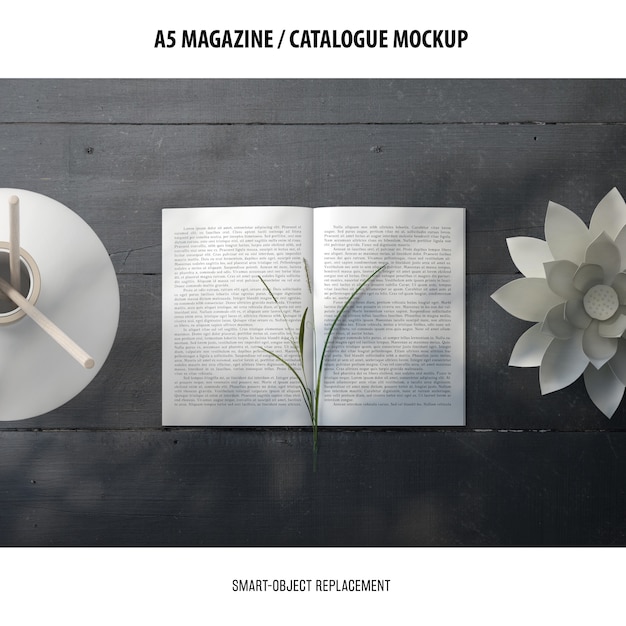 Magazine Catalogue Mockup – Free Stock Photo for Download