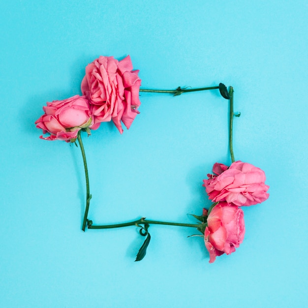 Square-Shaped Arrangement of Pink Roses on a Turquoise Background – Free Stock Photo, Download for Free