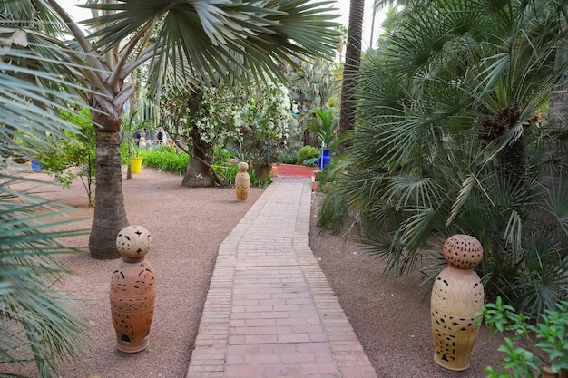 Majorelle Garden in Marrakech Morocco – Free Download