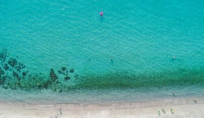 Aerial View of Sandy Beach with Tourists Swimming – Free Stock Photo for Download