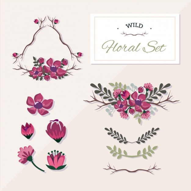 Decorative Floral Elements Collection – Free to Download