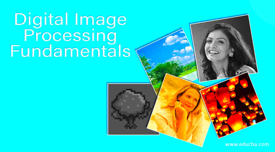 Digital Image Processing Fundamentals Explanation on Types of Images