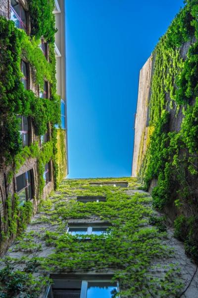 Buildings Against Clear Blue Sky – Free Stock Photo for Download