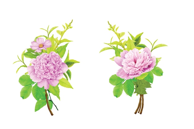 Peonies Floral Wreath Illustration Design – Free Download