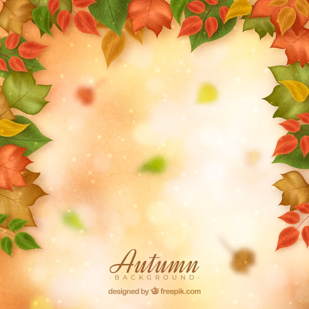 Autumn Leaves Scattered on a Bright Surface – Free Download