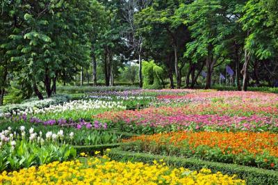 Vertical Landscaping in Action at the Park – Free Stock Photo, Download for Free