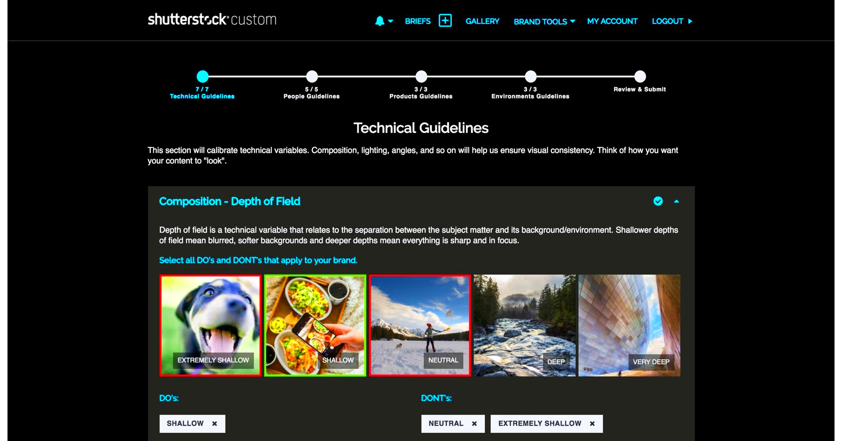 Introducing Shutterstock Custom