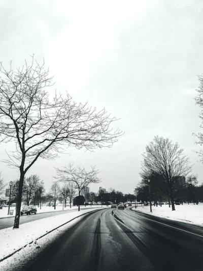 Road Surrounded by Trees and Snow-Covered Cars with Buildings – Free Download