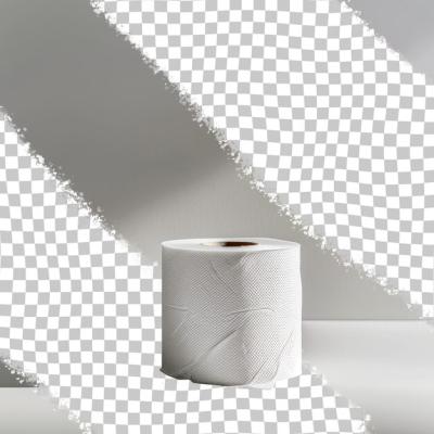 A Roll of Toilet Paper on the Floor with a White Background – Free Stock Photo for Download