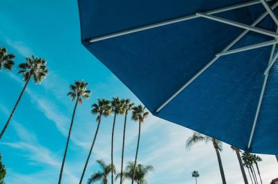 Blue Umbrella with Tall Palm Trees – Free Download