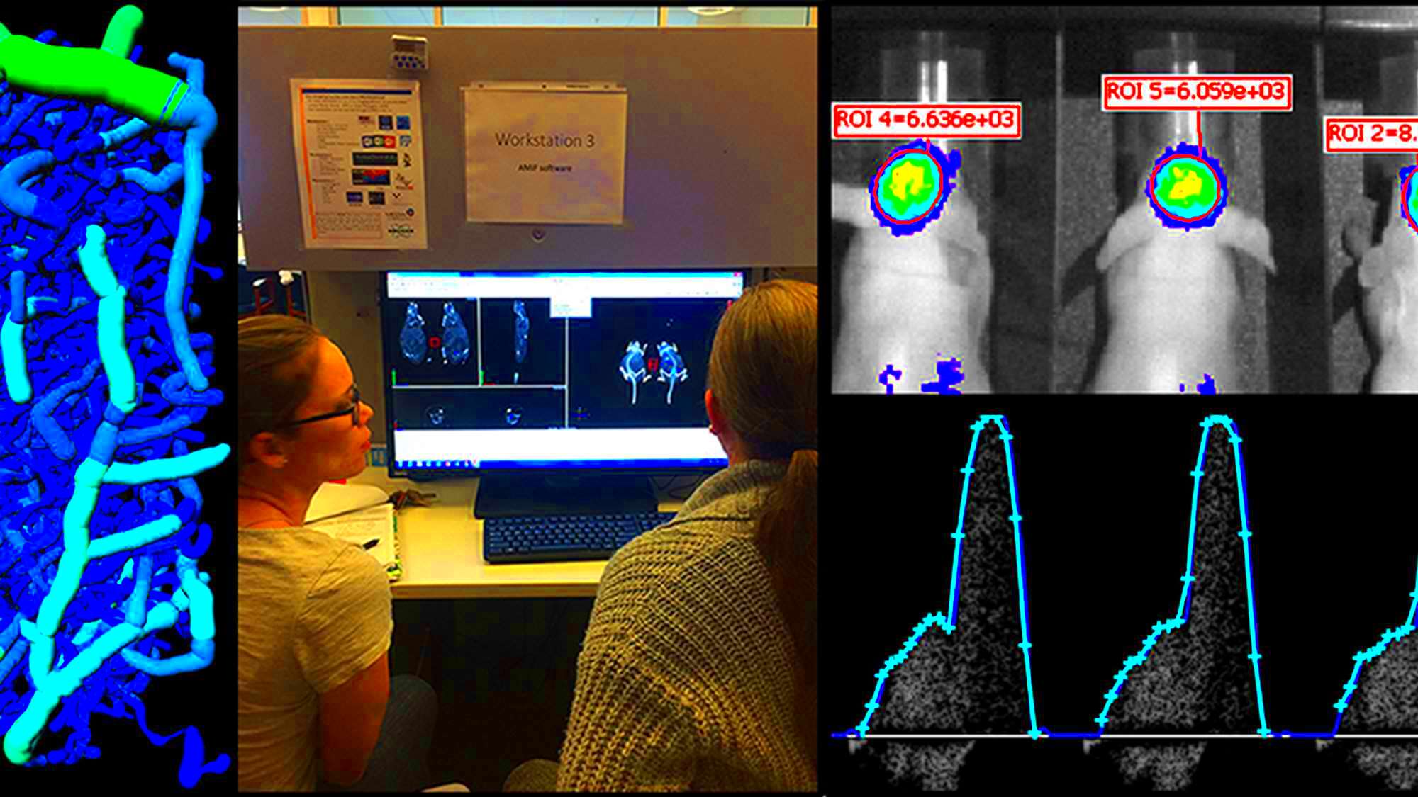 Image Processing Analysis Office of Research and Graduation 