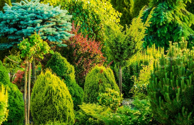 Garden Plants and Trees for a Lush Landscape – Free Download