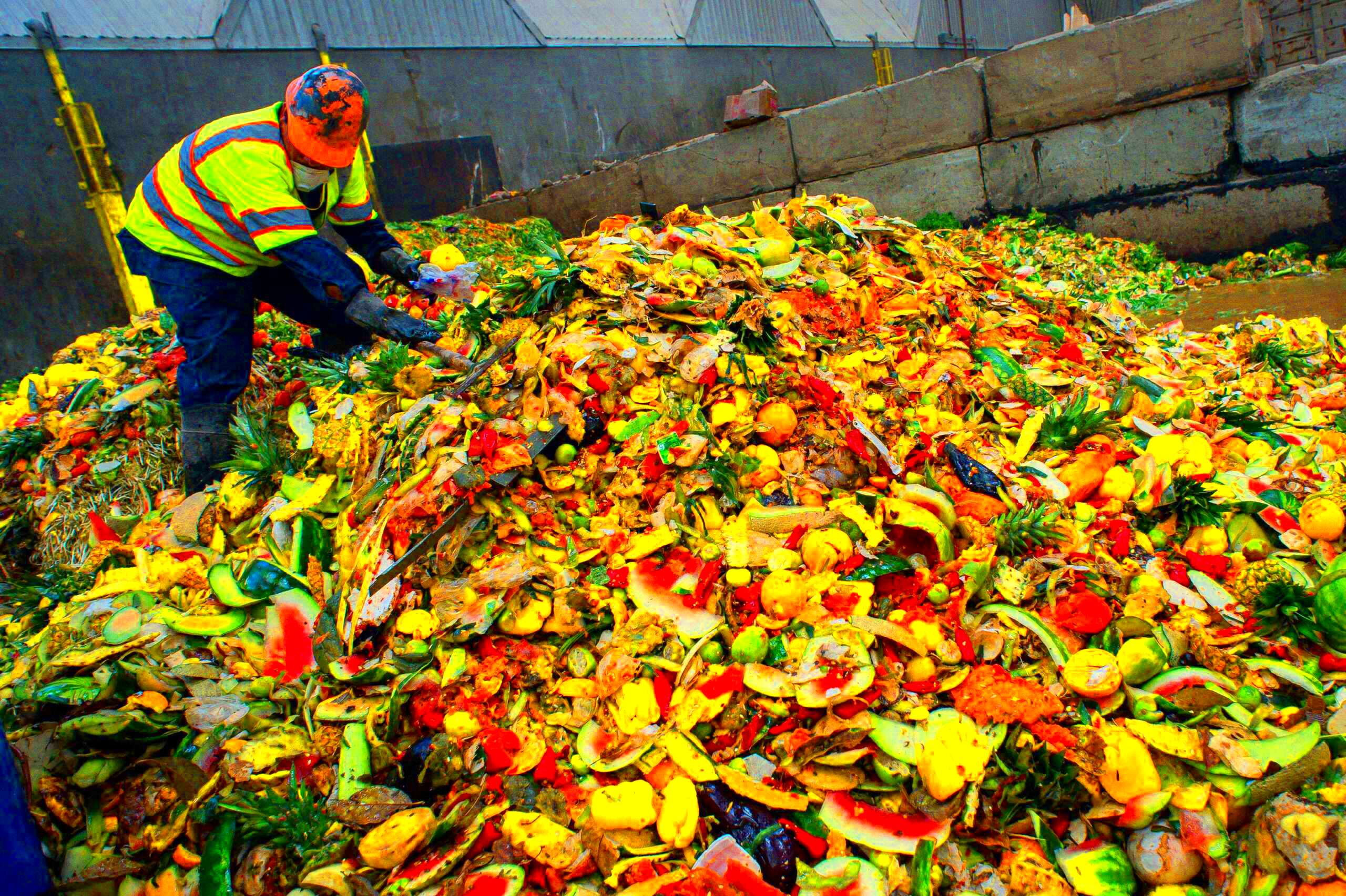 Californias New Food Waste Law Is Backfiring