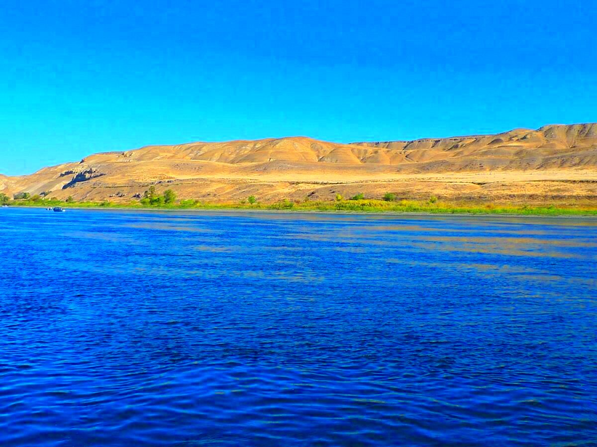 Columbia River Journeys Richland All You Need to Know BEFORE You Go