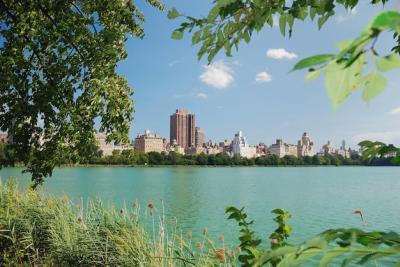 Central Park Lake Trees – Free to Download