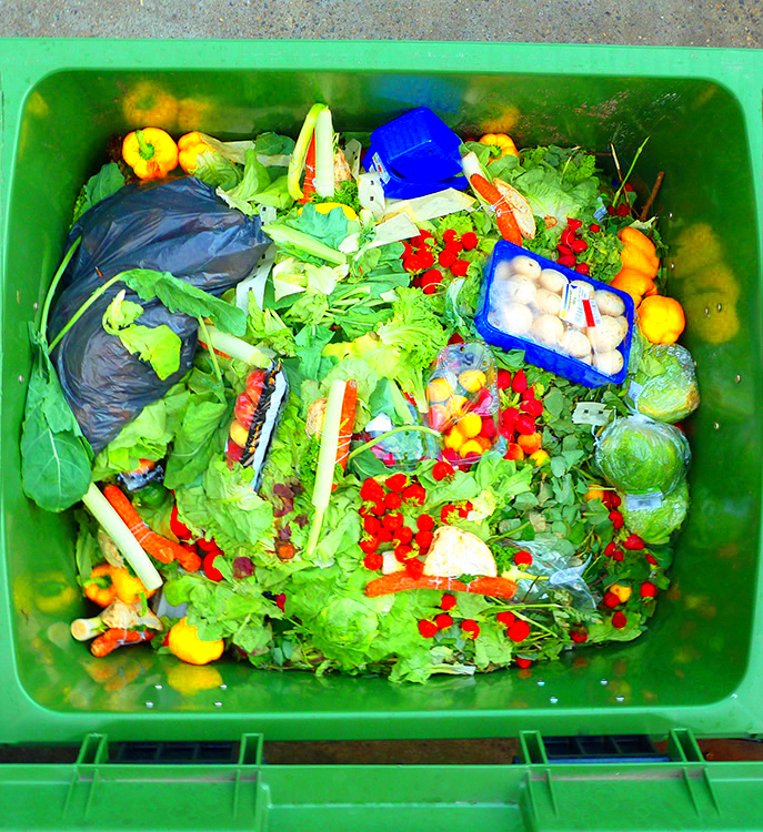 Food Waste and Solutions for Combating the Crisis Office of 