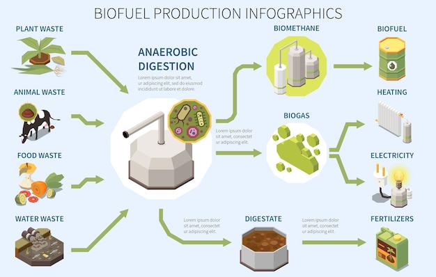 Biofuel Production Infographics Poster: Types of Organic Waste and Biogas Usage Illustration – Free Stock Photo Download