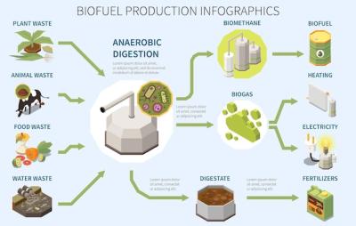 Biofuel Production Infographics Poster: Types of Organic Waste and Biogas Usage Illustration – Free Stock Photo Download